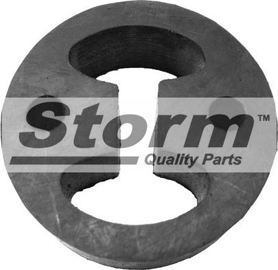 Storm F0262 - Кронштейн, система випуску ОГ autocars.com.ua