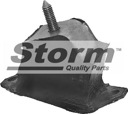 Storm F0388 - Подушка, підвіска двигуна autocars.com.ua