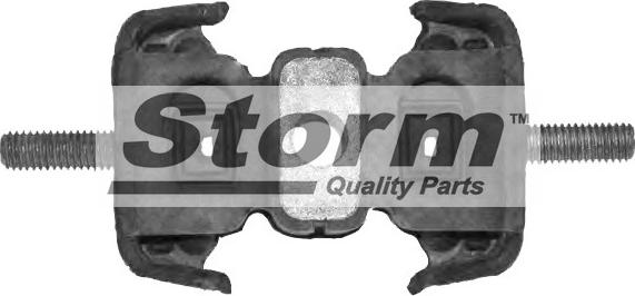 Storm F0496 - Подушка, підвіска двигуна autocars.com.ua