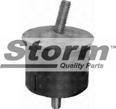 Storm F0502 - Подушка, підвіска двигуна autocars.com.ua