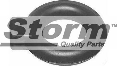 Storm F0744 - Кронштейн, система випуску ОГ autocars.com.ua