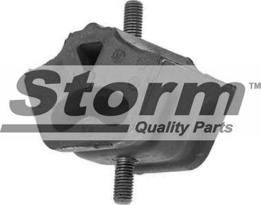 Storm F0772 - Подушка, підвіска двигуна autocars.com.ua