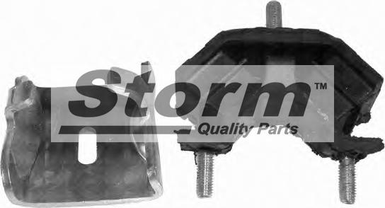 Storm F0773 - Подушка, підвіска двигуна autocars.com.ua