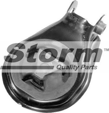 Storm F10206 - Подушка, підвіска двигуна autocars.com.ua