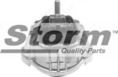 Storm F10631 - Подушка, підвіска двигуна autocars.com.ua