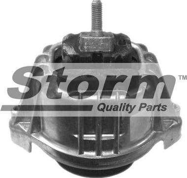 Storm F10632 - Подушка, підвіска двигуна autocars.com.ua