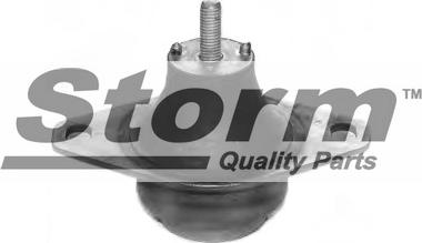 Storm F1071 - Подушка, підвіска двигуна autocars.com.ua