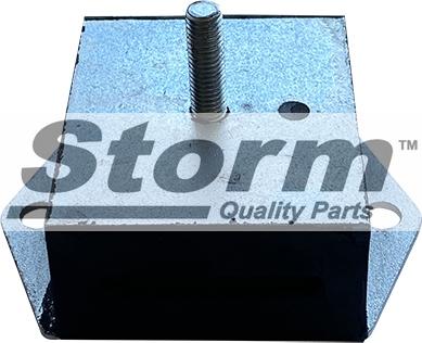 Storm F11598 - Подушка, підвіска двигуна autocars.com.ua