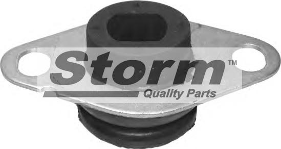 Storm F1202 - Подушка, підвіска двигуна autocars.com.ua