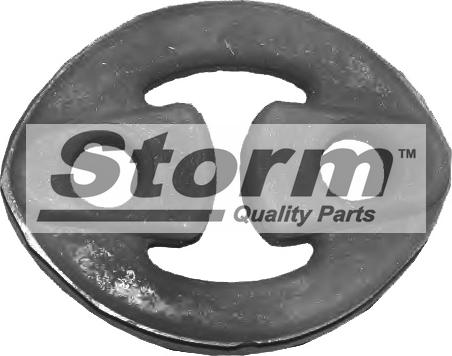 Storm F1361 - Кронштейн, система випуску ОГ autocars.com.ua