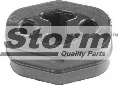 Storm F1384 - Кронштейн, система випуску ОГ autocars.com.ua