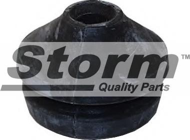 Storm F1538 - Подушка, підвіска двигуна autocars.com.ua