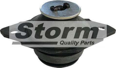 Storm F1685 - Подушка, підвіска двигуна autocars.com.ua