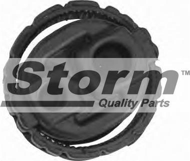 Storm F1864 - Кронштейн, система випуску ОГ autocars.com.ua