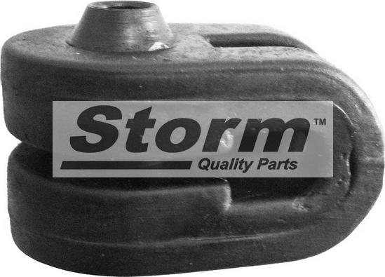 Storm F1872 - Кронштейн, система випуску ОГ autocars.com.ua