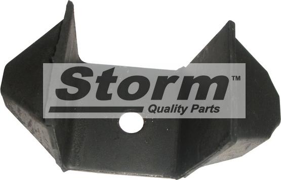 Storm F1900 - Подушка, підвіска двигуна autocars.com.ua
