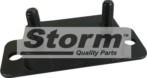 Storm F2153 - Кронштейн, втулка, система випуску autocars.com.ua