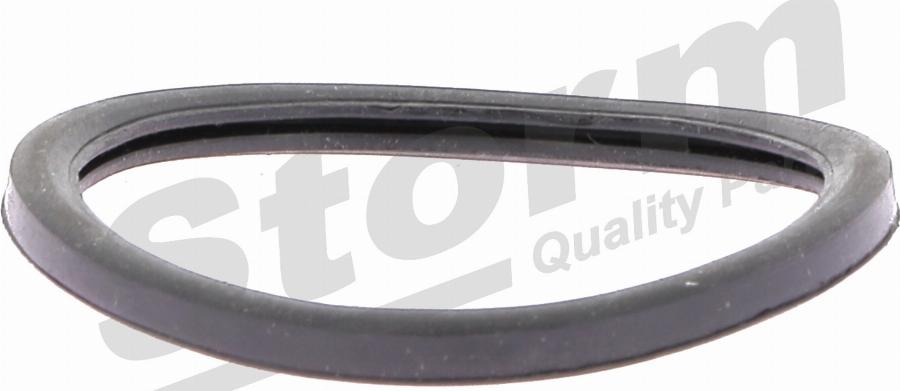 Storm F2362 - Ремінний шків, колінчастий вал autocars.com.ua