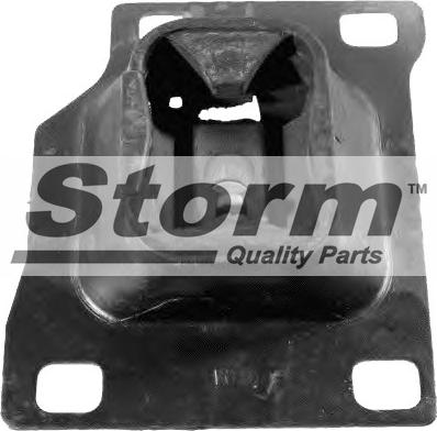 Storm F2495 - Подушка, підвіска двигуна autocars.com.ua