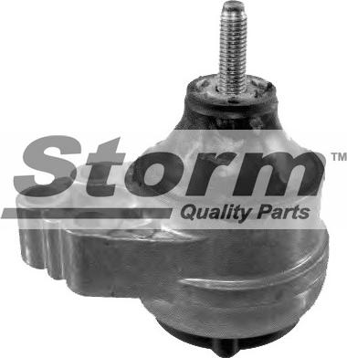 Storm F2496 - Подушка, підвіска двигуна autocars.com.ua