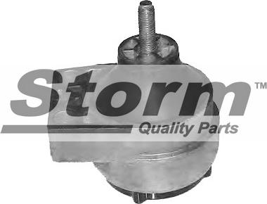 Storm F2498 - Подушка, підвіска двигуна autocars.com.ua