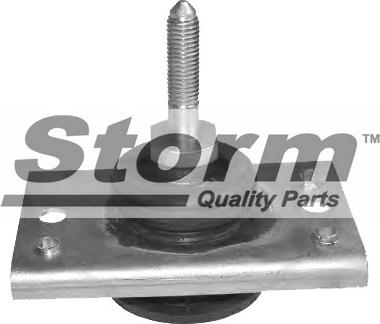 Storm F2508 - Подушка, підвіска двигуна autocars.com.ua