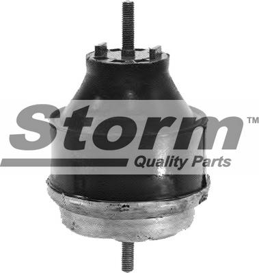 Storm F2520 - Подушка, підвіска двигуна autocars.com.ua