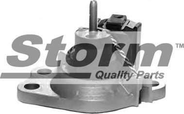 Storm F2548 - Подушка, підвіска двигуна autocars.com.ua