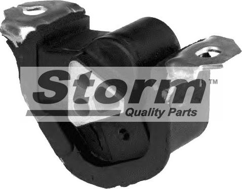 Storm F2557 - Подушка, підвіска двигуна autocars.com.ua