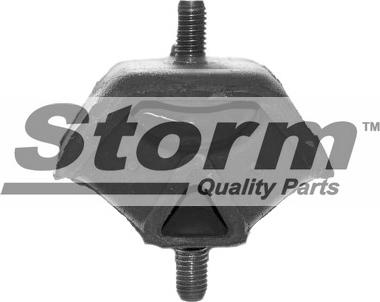 Storm F2576 - Подушка, підвіска двигуна autocars.com.ua