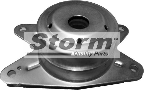 Storm F2801 - Подушка, підвіска двигуна autocars.com.ua