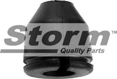 Storm F2844 - Пилозахисний комплект, амортизатор autocars.com.ua