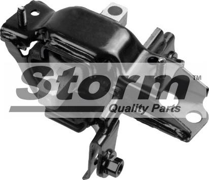 Storm F4069 - Подушка, підвіска двигуна autocars.com.ua