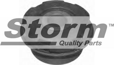 Storm F4143 - Сайлентблок, важеля підвіски колеса autocars.com.ua