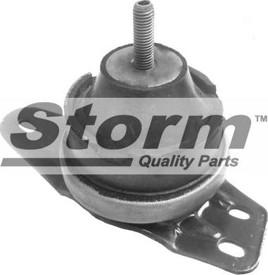 Storm F4746 - Подушка, підвіска двигуна autocars.com.ua