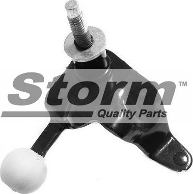Storm F4765 - Ремкомплект, важіль перемикання autocars.com.ua