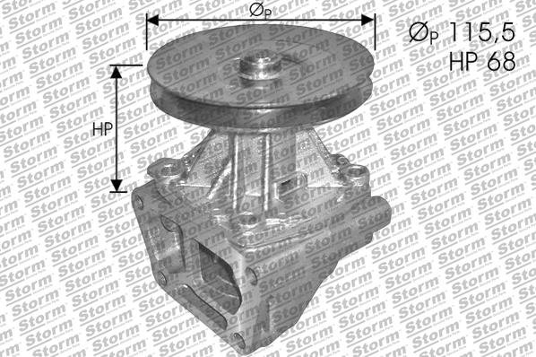 Storm PA10021 - Водяний насос autocars.com.ua