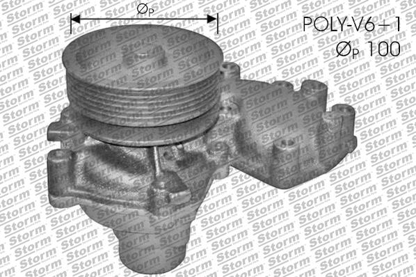 Storm PA10748 - Водяний насос autocars.com.ua