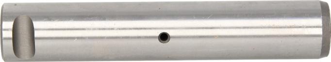 S-TR STR-120258 - Палець вушкаресори autocars.com.ua