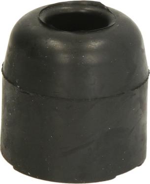 S-TR STR-120746 - Буфер, кабіна autocars.com.ua