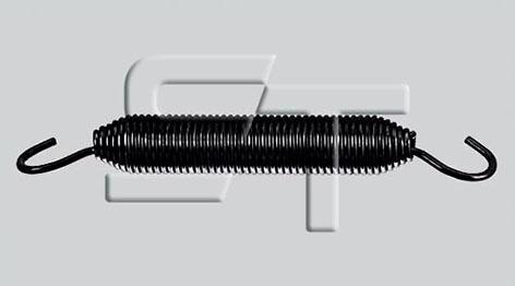 ST-Templin 03.080.1905.810 - Пружина, гальмівна колодка autocars.com.ua