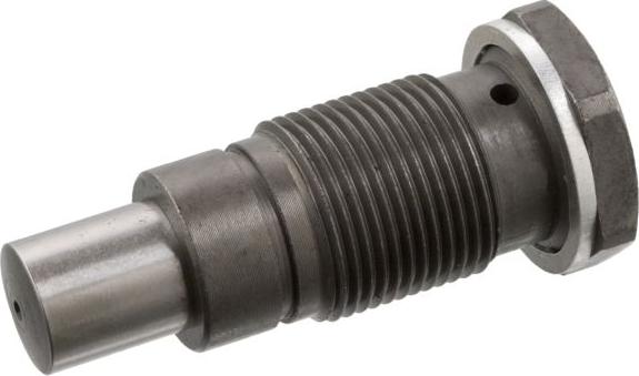 Swag 30 10 1796 - натягувач, ланцюг приводу autocars.com.ua