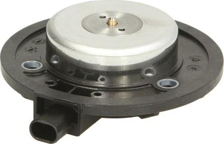 Swag 30 94 0198 - Центральний магніт, шестерня приводу розподільного вала autocars.com.ua