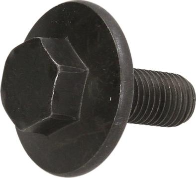 Swag 50 94 0754 - Болт шківа autocars.com.ua