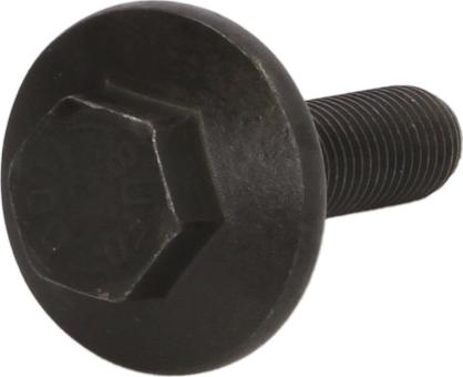 Swag 50 94 0755 - Болт шківа autocars.com.ua