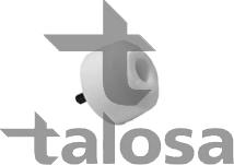 Talosa 64-17596 - Підвіска, листова ресора autocars.com.ua
