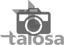 Talosa 77-RN-1025 - Шарнірний комплект, ШРУС, приводний вал autocars.com.ua