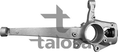 Talosa 79-02802R - Поворотный кулак, подвеска колеса avtokuzovplus.com.ua