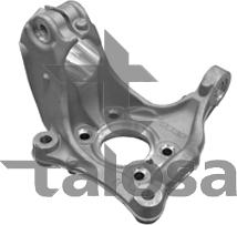 Talosa 79-04419R - Поворотный кулак, подвеска колеса avtokuzovplus.com.ua