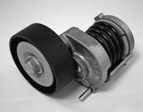 Technox TP20647 - Натягувач ременя, клинові зуб. autocars.com.ua